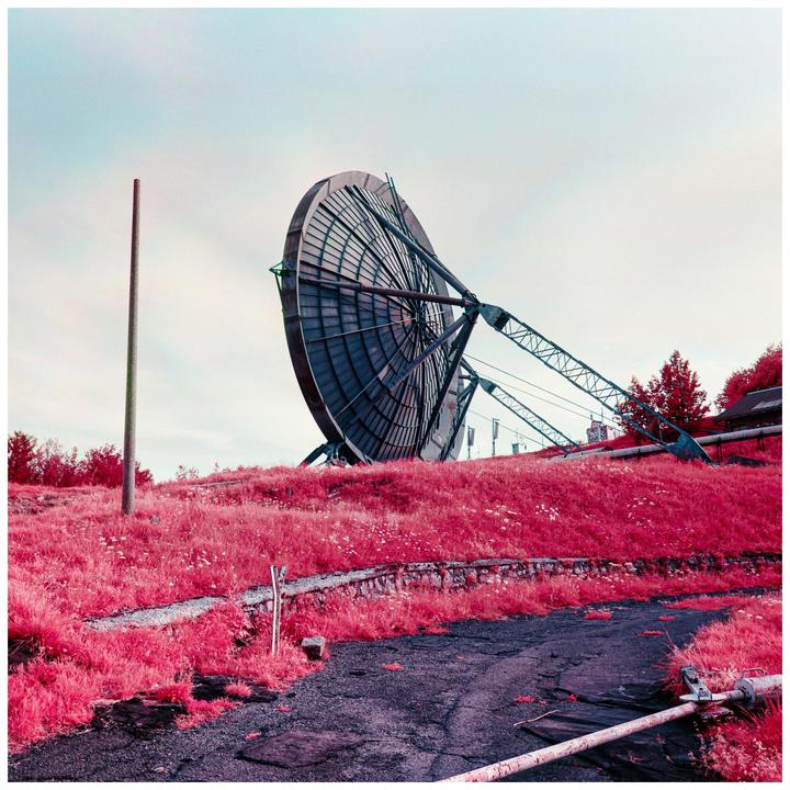 A large satellite dish stands on a hill covered in bright pink grass next to a paved path.