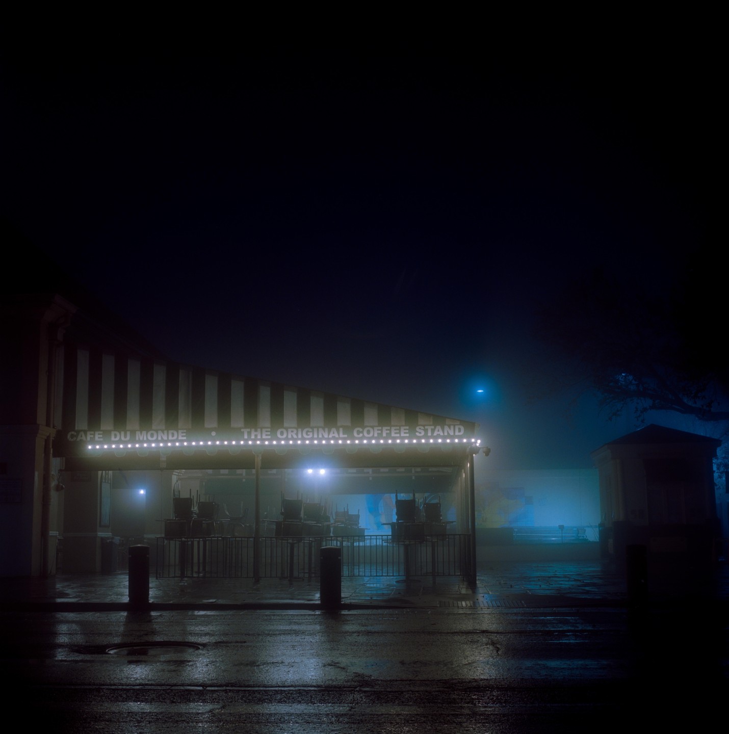 A coffee stand with a striped awning is illuminated by string lights and interior lights on a foggy night.