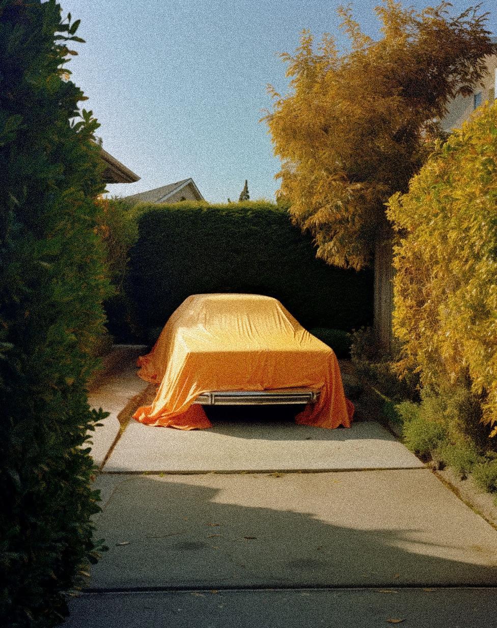 A car covered with an orange tarp is parked on a driveway between green hedges and trees with autumn foliage.