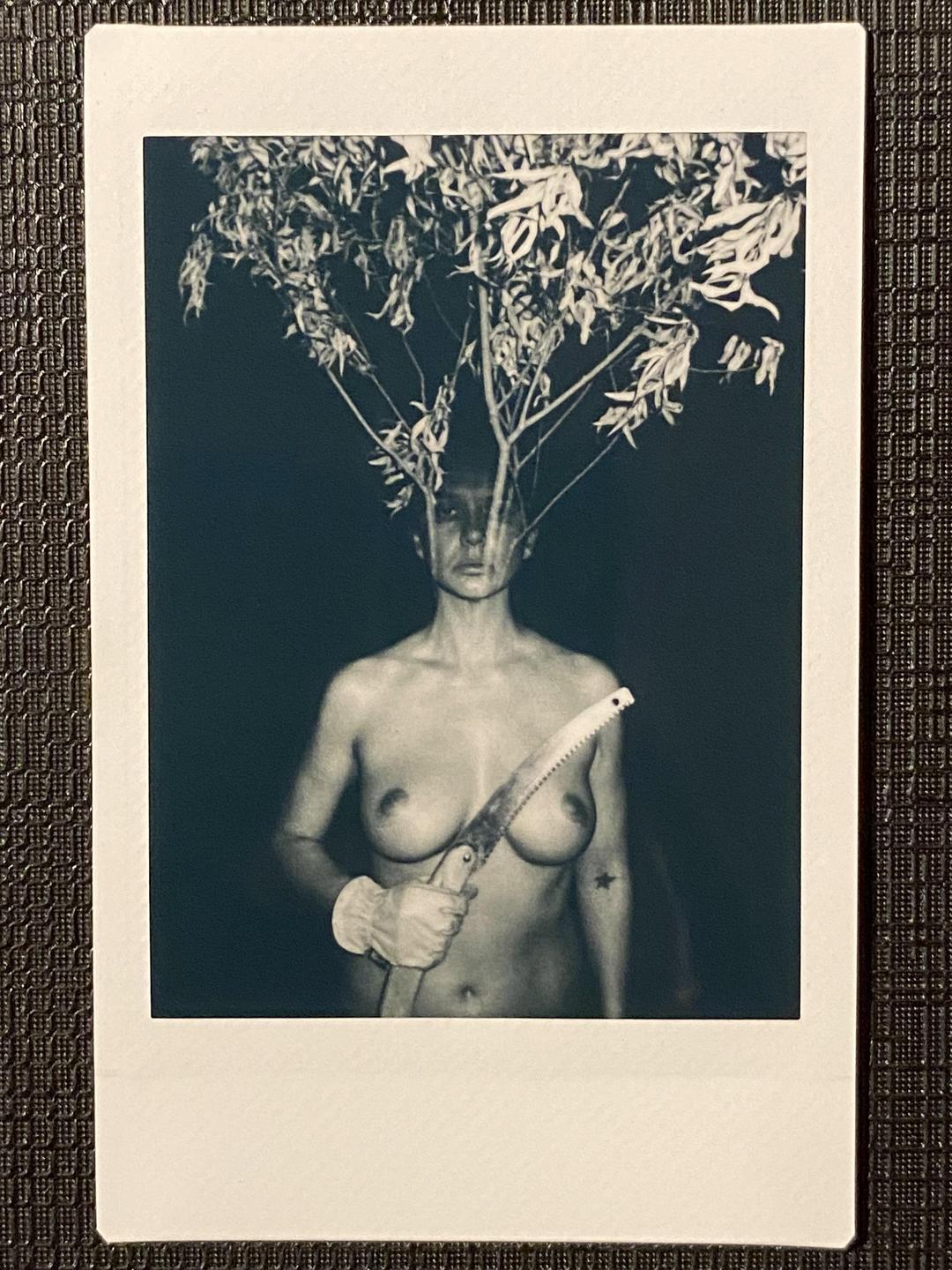 A topless woman with a tree growing from her head holds a saw.