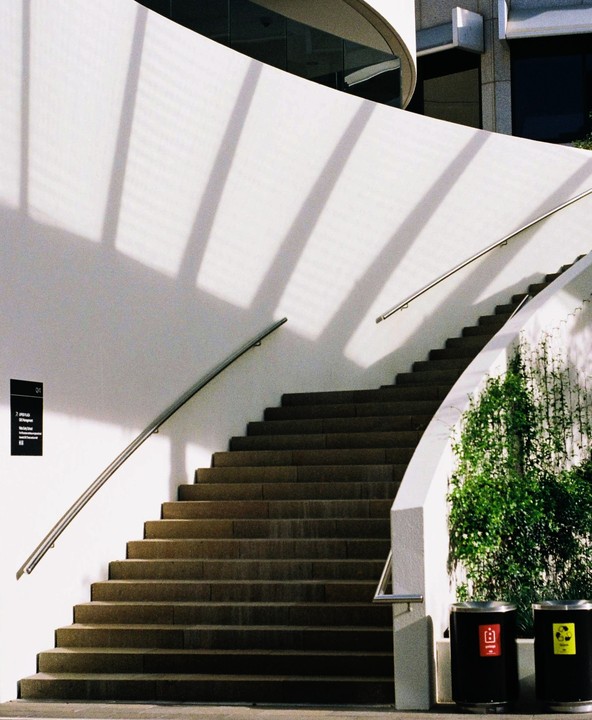 A curved outdoor staircase with a white wall and green foliage is illuminated by sunlight creating shadows.