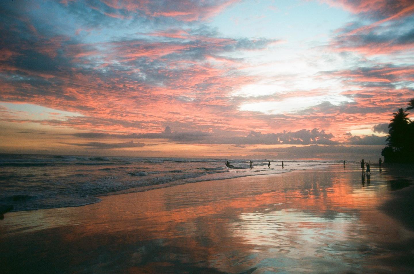 A beach at sunset with people wading in the water and palm trees on the right.