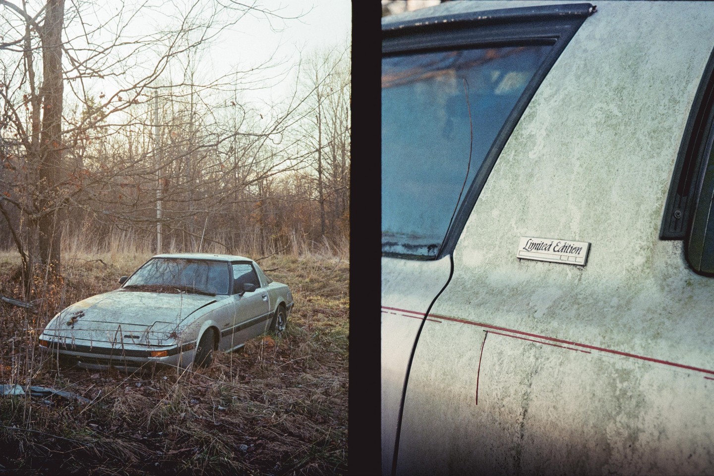 A diptych shows a silver car abandoned in a field with bare trees and a close-up of the car's side with a "Limited Edition" emblem.