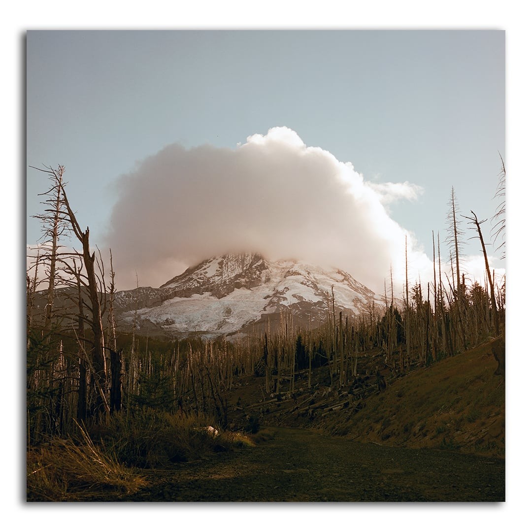 A snow-capped mountain is partially obscured by a large cloud, with a forest of dead trees in the foreground.