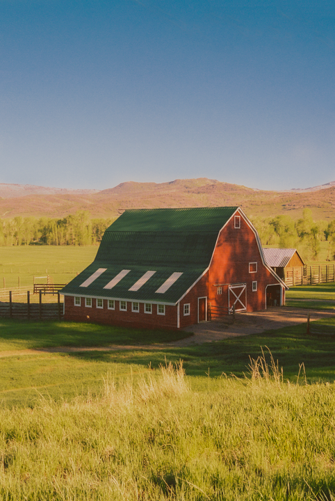 A red barn with a green roof stands in a field with mountains in the background.