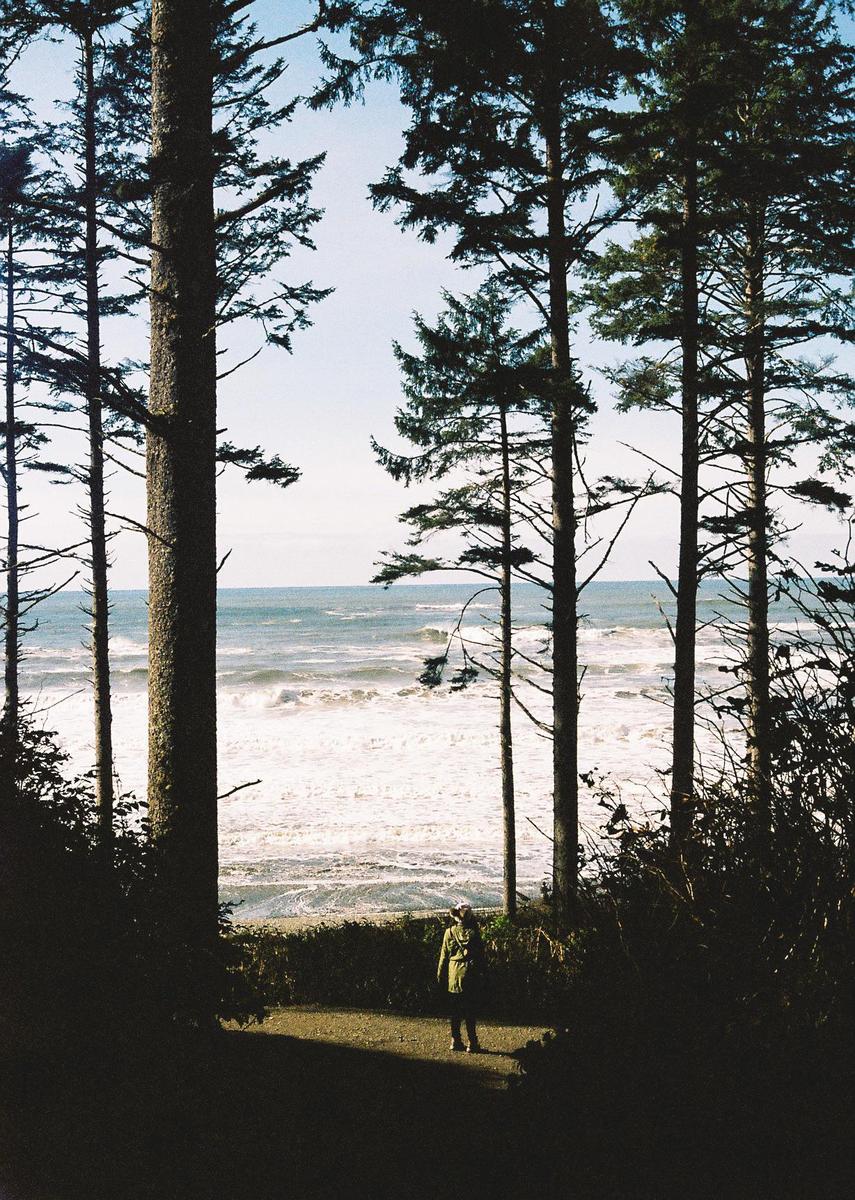 A woman stands on a path looking out at the ocean through a clearing in a forest.