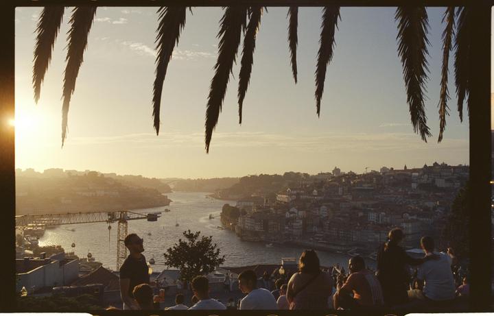 A group of people sit on a hillside overlooking a city and river at sunset, framed by palm fronds.
