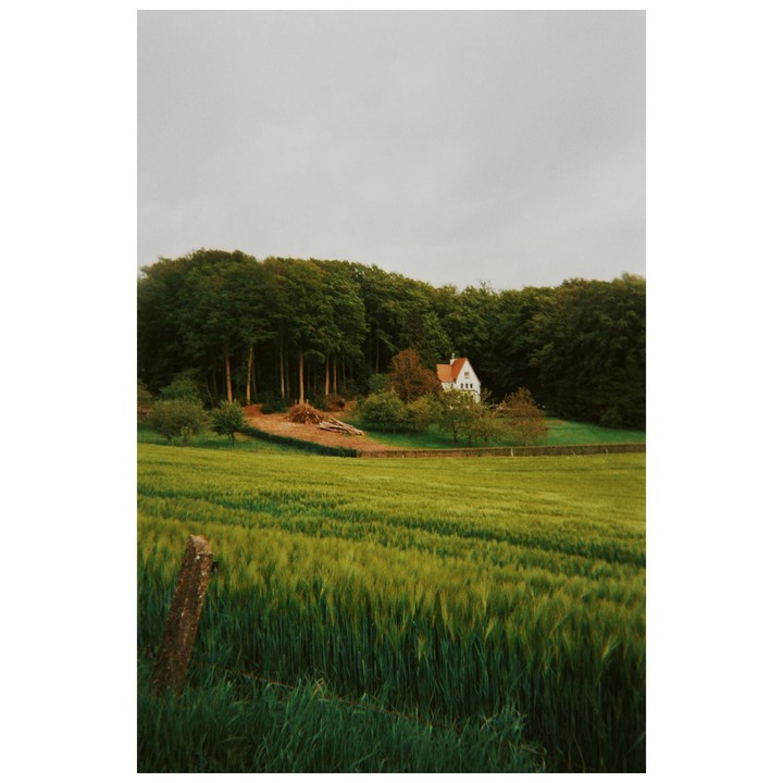 A white house with a red roof is nestled among trees behind a field of green crops under a cloudy sky.