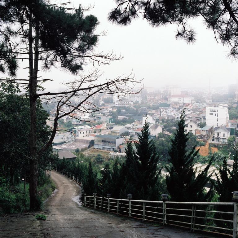 A winding road with a metal fence leads down a hill towards a town shrouded in mist, framed by pine trees.