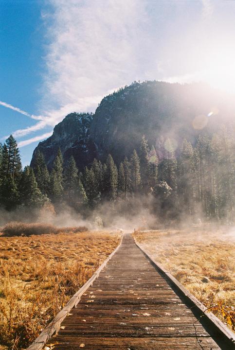 A wooden walkway leads through a misty field towards a forest and a large mountain under a bright sky.
