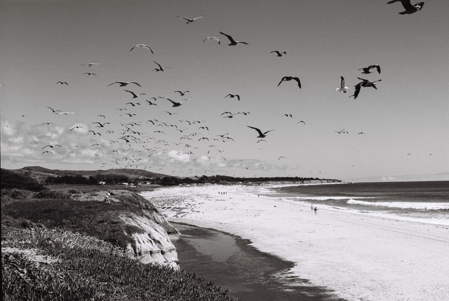 A flock of birds flies over a beach with cliffs and ocean waves.
