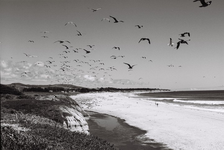 A flock of birds flies over a beach with cliffs and ocean waves.