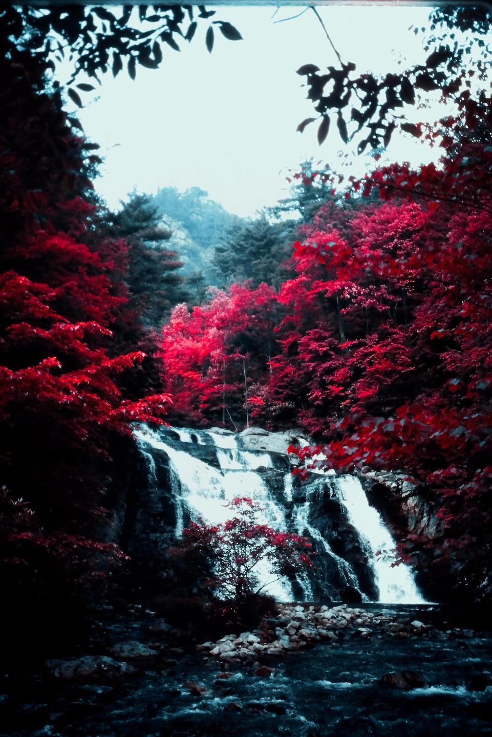 A waterfall cascades down a rocky incline surrounded by trees with vibrant red foliage.