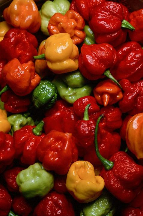 A close-up shot shows a pile of red, orange, yellow, and green peppers.