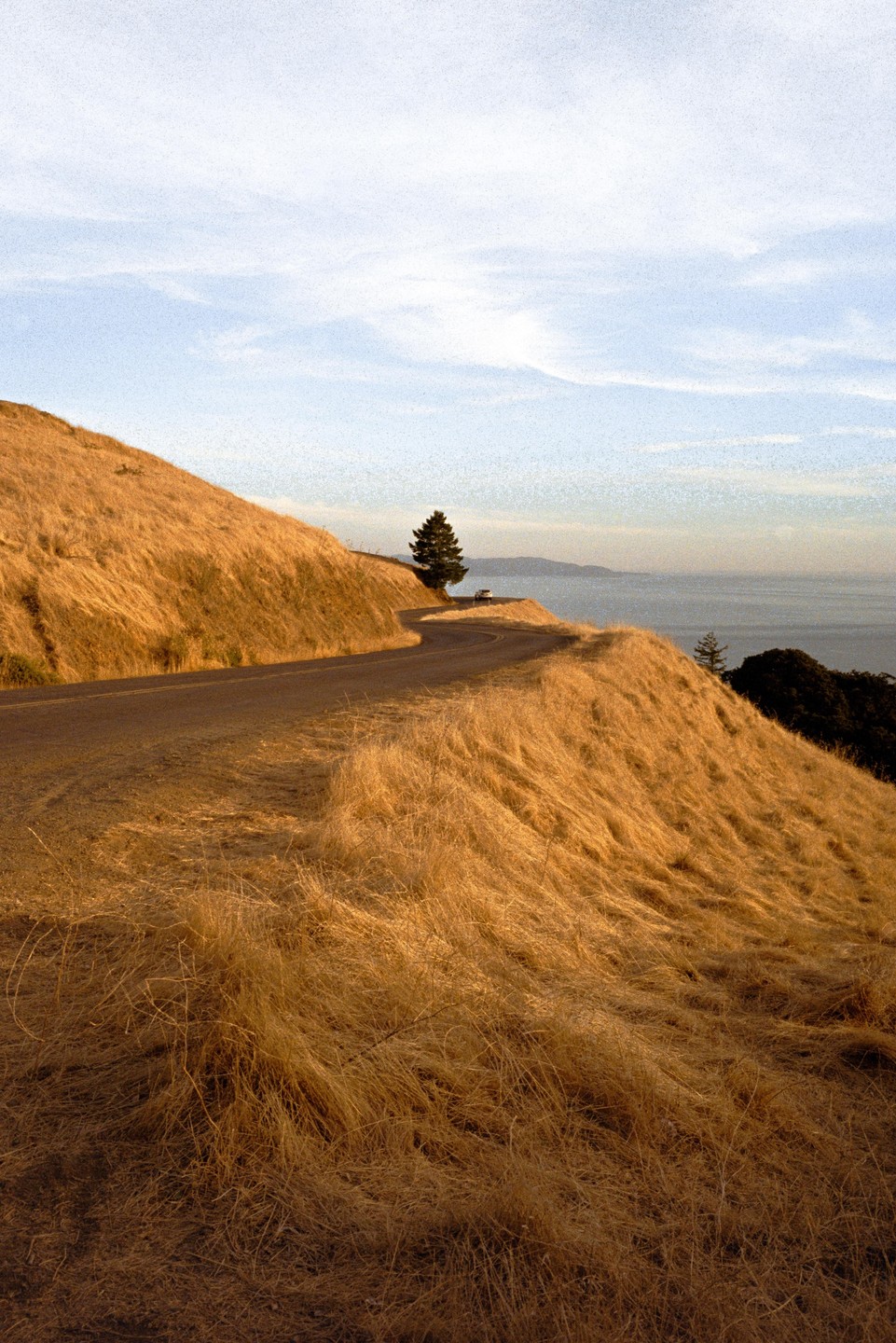 A winding road curves around a hill covered in dry grass, with a single tree and the ocean visible in the distance.