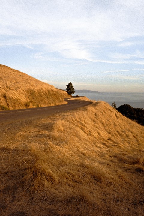 A winding road curves around a hill covered in dry grass, with a single tree and the ocean visible in the distance.