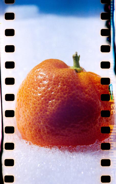 A small orange with a green stem is nestled in fresh snow under a bright blue sky.