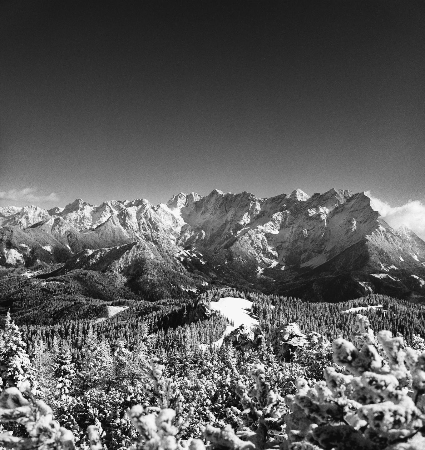 A black and white landscape shows snow-covered mountains behind a forest of snow-dusted trees.