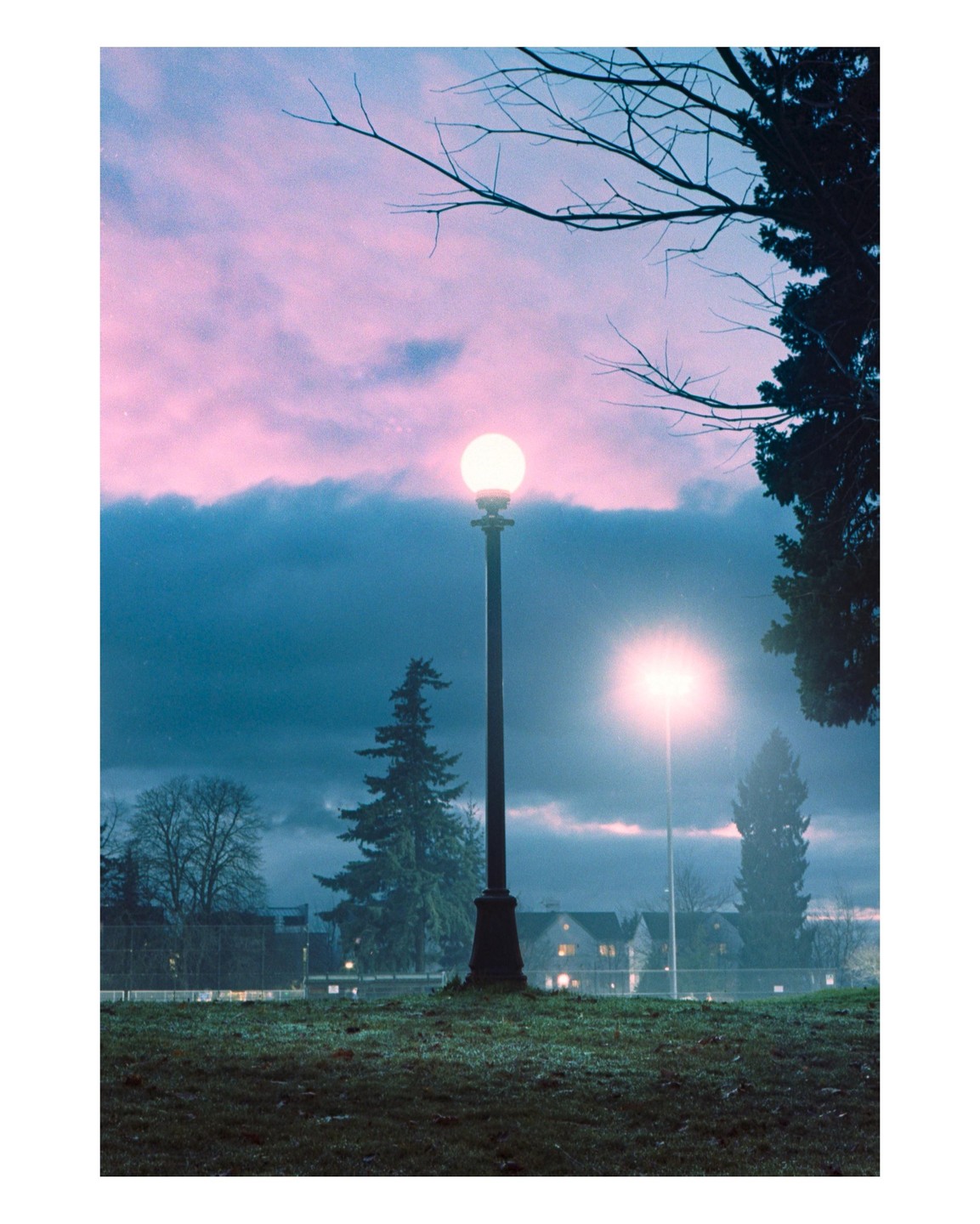 A glowing street lamp stands in a park at dusk, with a pink and blue sky overhead.