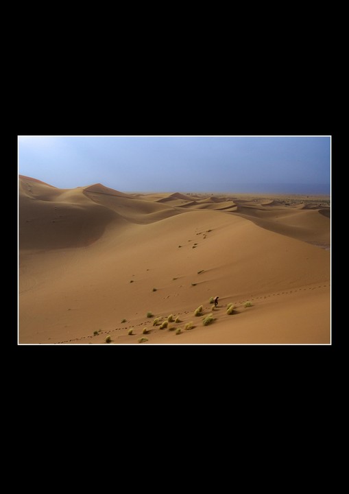 A person walks across a vast desert landscape with sand dunes and sparse vegetation under a clear sky.