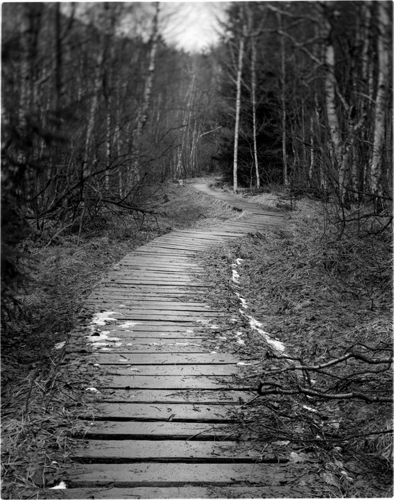 A wooden boardwalk path winds through a forest with bare trees and patches of snow on the ground.