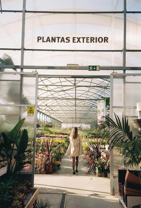 A woman walks away from the camera into a greenhouse filled with plants and flowers.