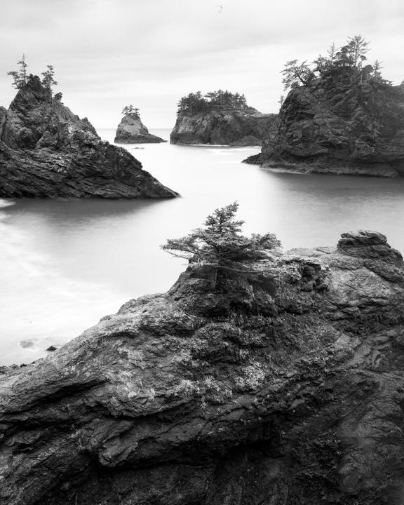 A black and white landscape shows a rocky coastline with several small islands covered in trees and calm water.