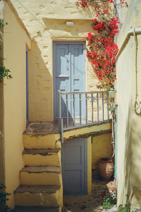 A narrow alleyway features yellow walls, blue doors, and a vibrant bougainvillea plant.