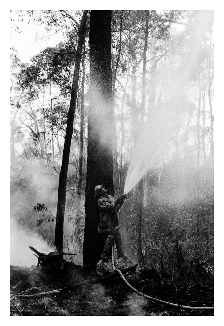Australian Bushfires 2019-2020 [Eastman Kodak Double-X 5222 | Nikon FM2n], shot on KODAK DOUBLE-X