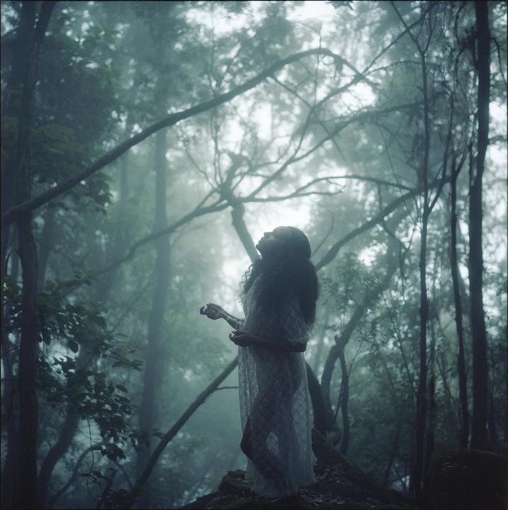A woman in a white dress stands in a hazy forest looking up.