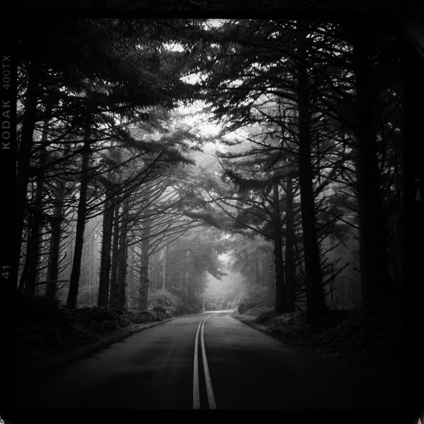 A winding road with a double yellow line leads through a dense, misty forest.
