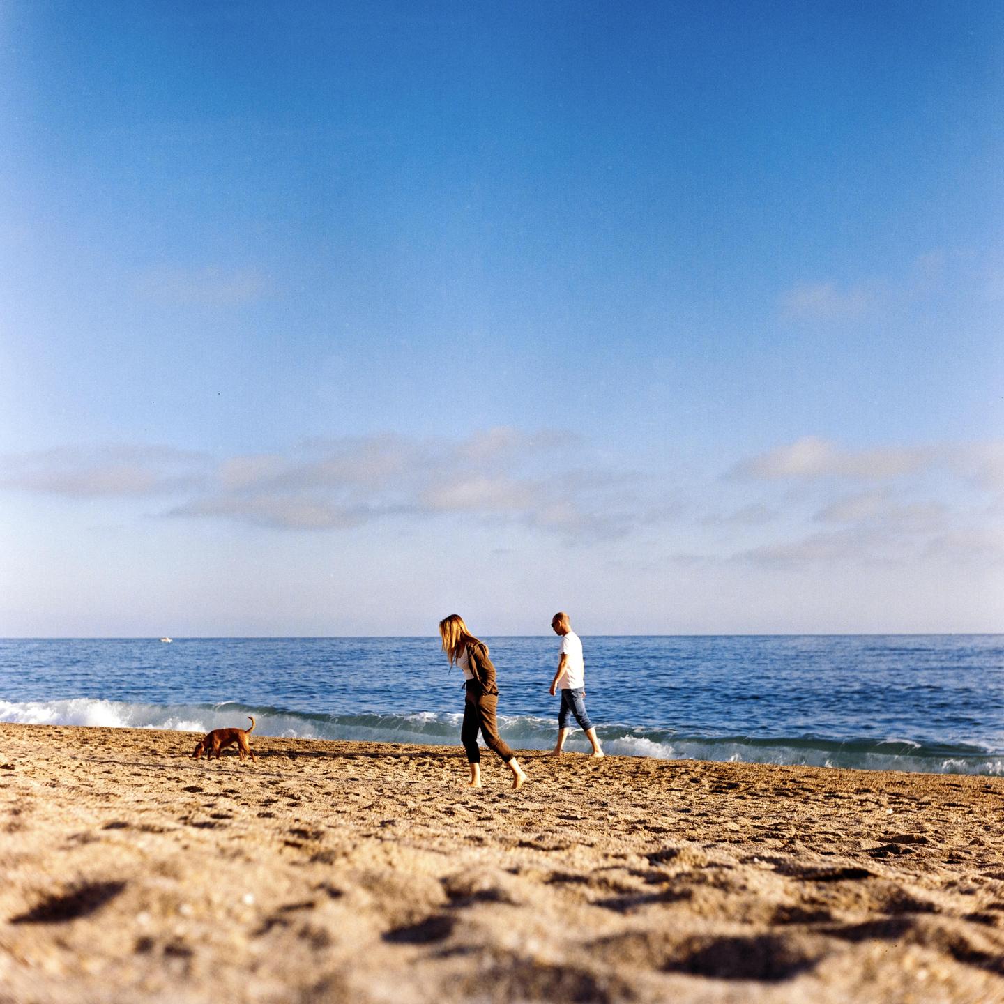 A woman, a man, and a dog walk along a sandy beach next to the ocean under a blue sky.