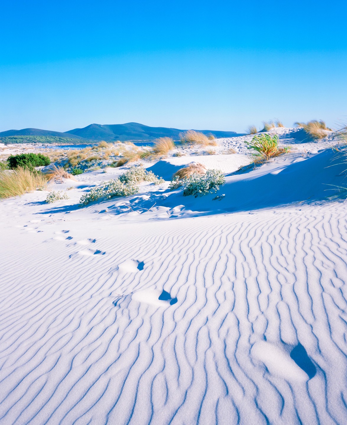 Footprints are visible on a white sand dune with ripples, with green vegetation and mountains in the distance under a clear blue sky.