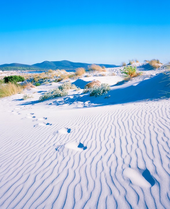Footprints are visible on a white sand dune with ripples, with green vegetation and mountains in the distance under a clear blue sky.