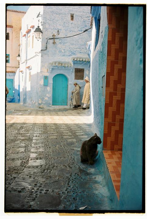 A cat sits on a blue ledge in a narrow alleyway with two men walking in the background.