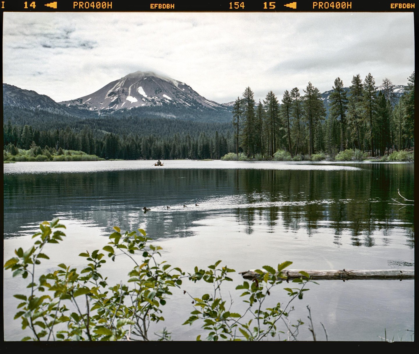A person in a small boat is on a lake with ducks, surrounded by a pine forest and a snow-capped mountain under a cloudy sky.