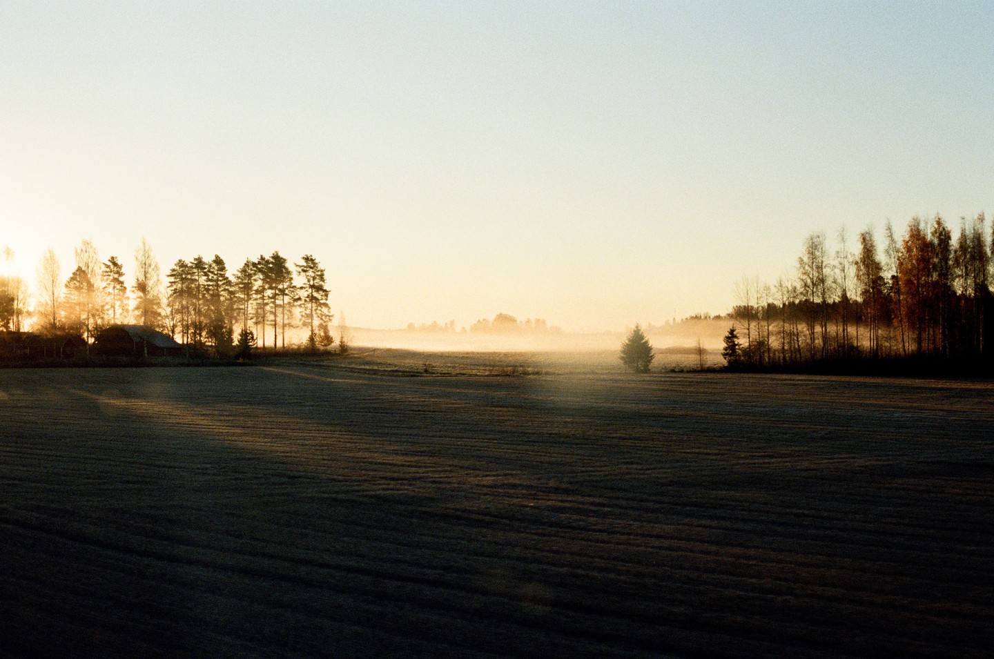 A misty field with trees and a building is illuminated by the rising sun.