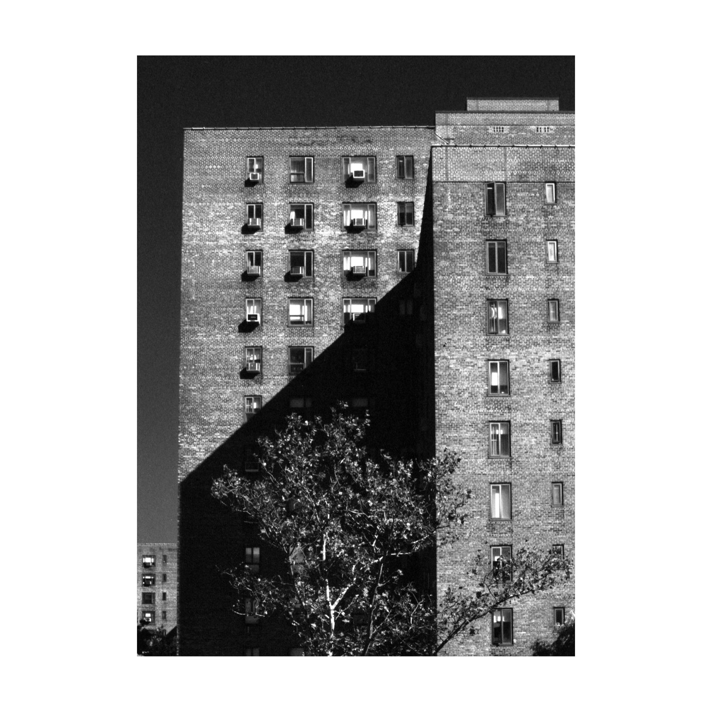 A tall brick building with many windows is partially covered in shadow, with a tree in the foreground.