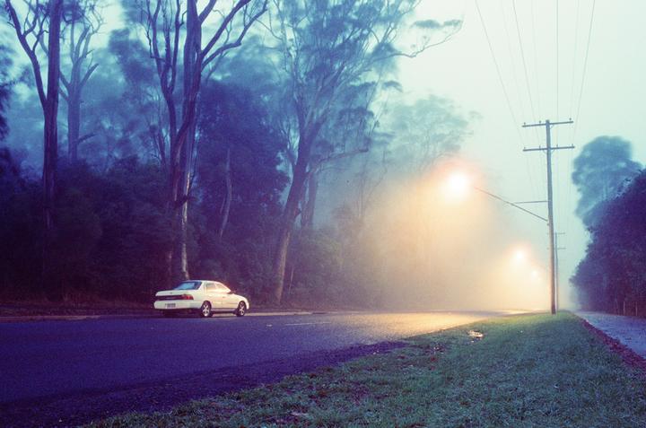 A white car is parked on the side of a road next to a forest, with streetlights illuminating a hazy atmosphere.