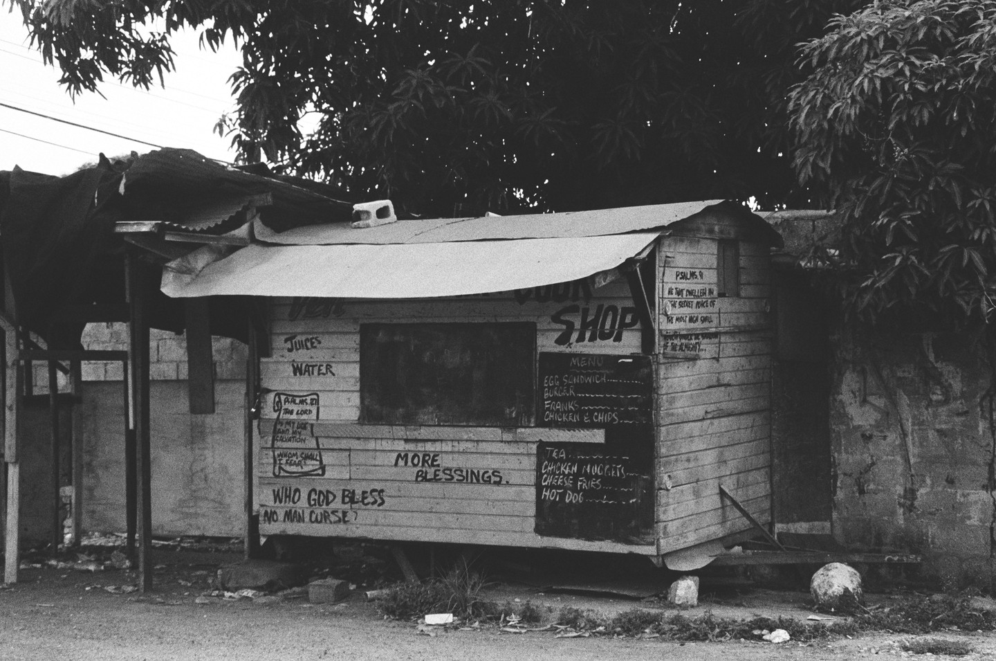 A small wooden shop with a corrugated metal roof stands next to a tree, with various handwritten signs on its exterior.
