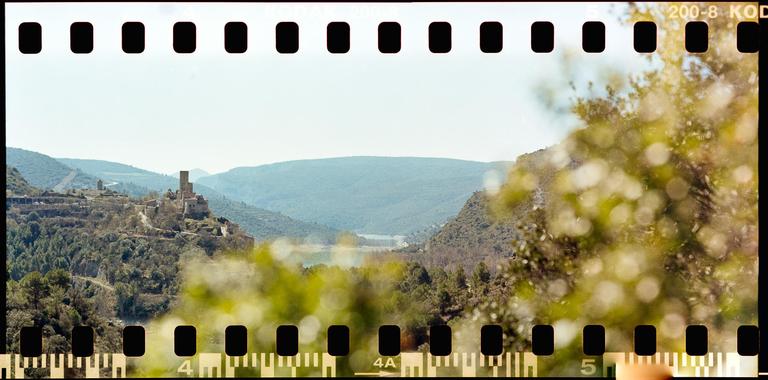 A panoramic landscape shows a castle on a hill overlooking a valley with a body of water, framed by out-of-focus foliage.