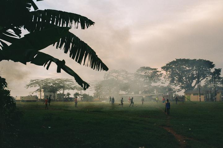 A group of children play soccer on a grassy field under a hazy sky, framed by a large palm frond in the foreground.