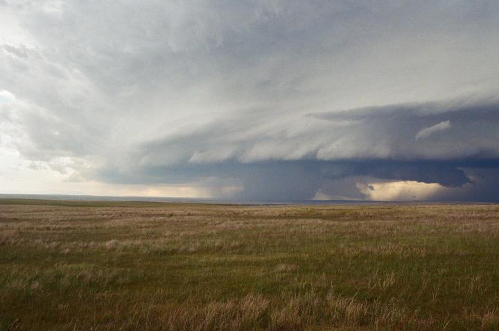 A vast field of dry grass stretches under a dramatic sky with dark storm clouds and a bright opening.