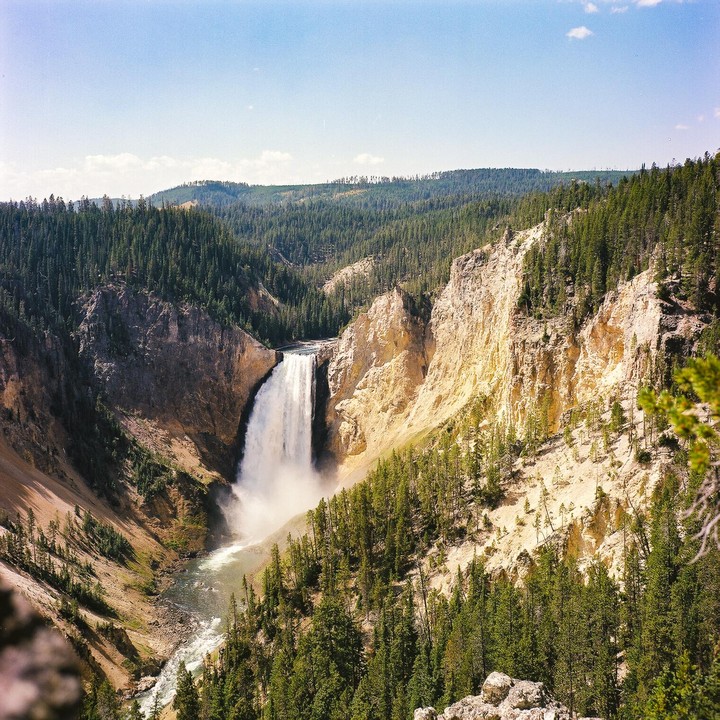 A large waterfall cascades into a river in a deep canyon surrounded by pine trees under a clear sky.