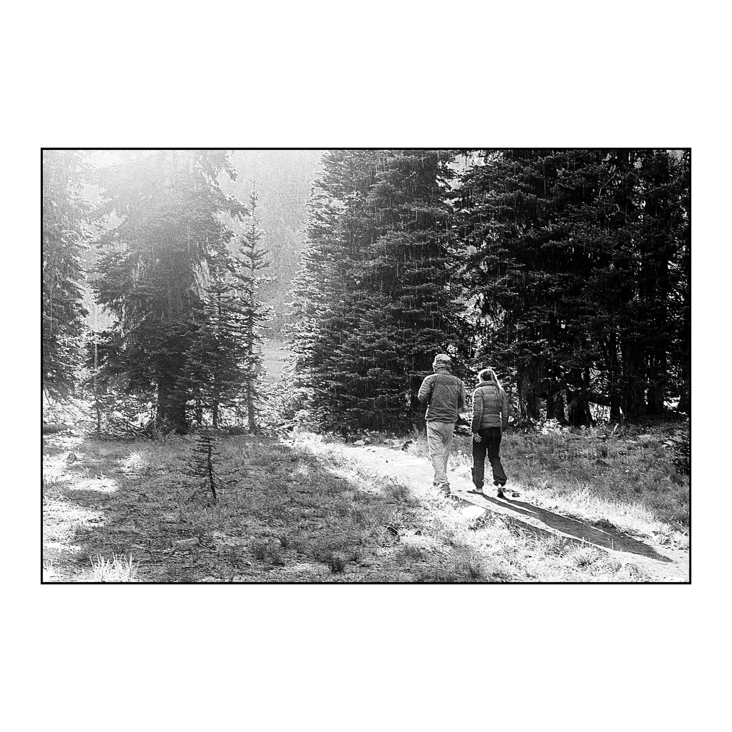 A couple walks on a path through a forest with tall trees and dappled sunlight.