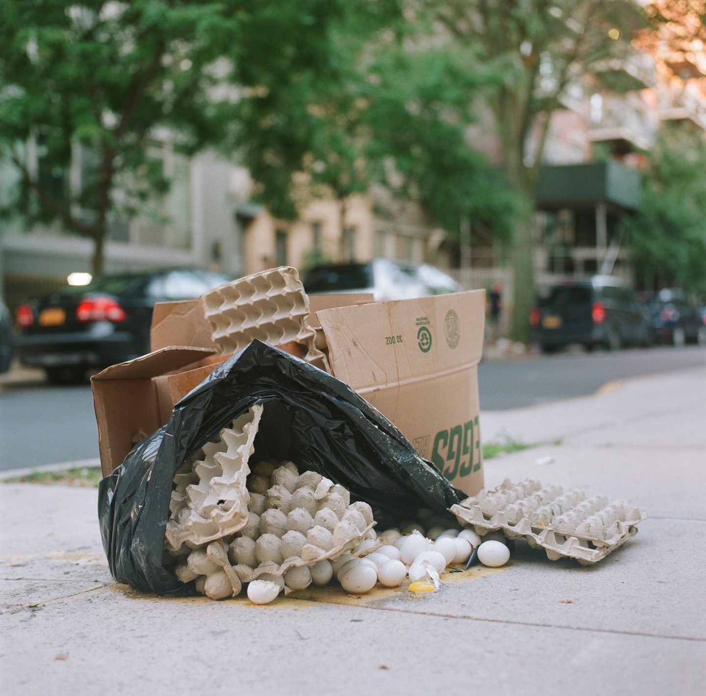 A black trash bag and cardboard boxes filled with eggs and egg cartons sit on a sidewalk next to a street with cars.