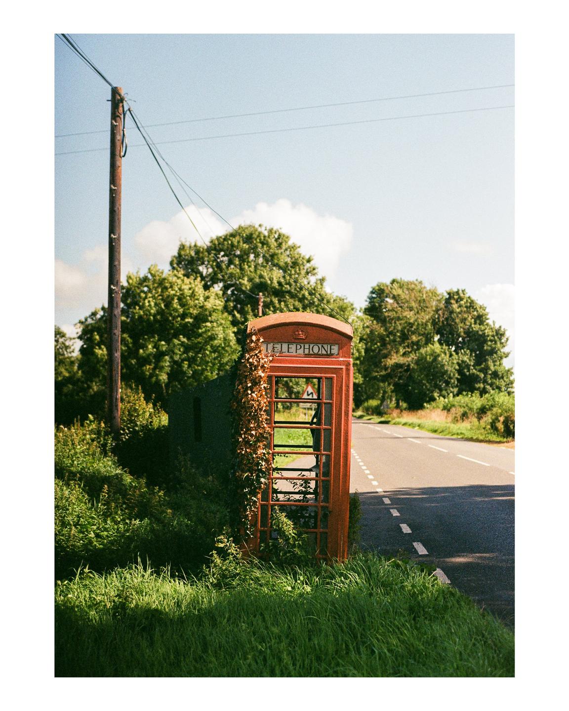 An old red telephone booth covered in vines stands next to a road with a utility pole and trees in the background.