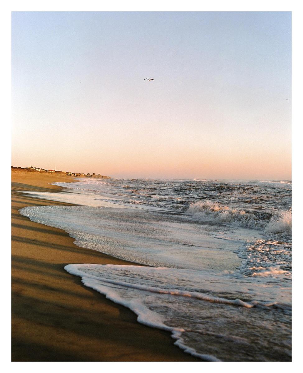 A bird flies over a beach with waves crashing on the shore and houses in the distance under a pastel sky.