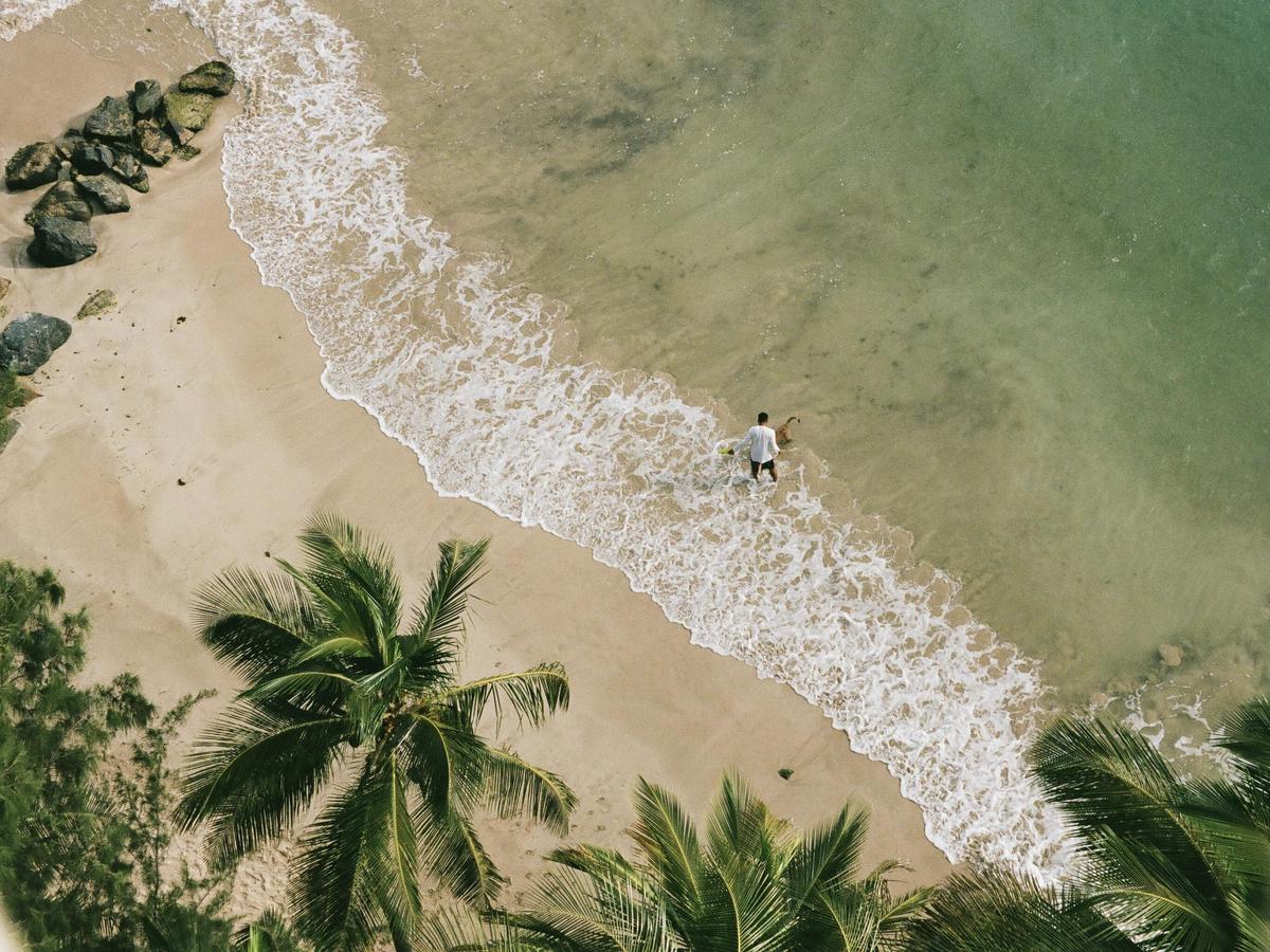 A man stands in the shallow water of a sandy beach with palm trees in the foreground.