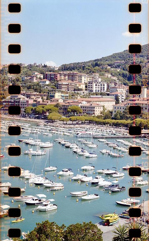 A hillside town overlooks a harbor filled with many boats.